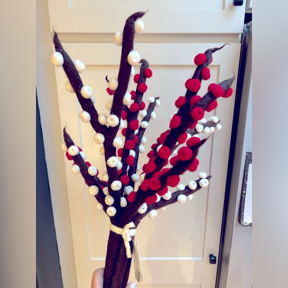 Trader Joe’s NWT Unbelievably Beautiful Red White Brown Wool Felted Ilex Berries - Picture 4 of 7